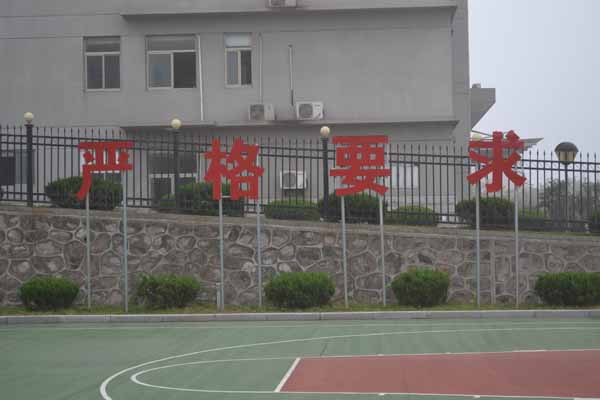 �����ֻ��ǿ���